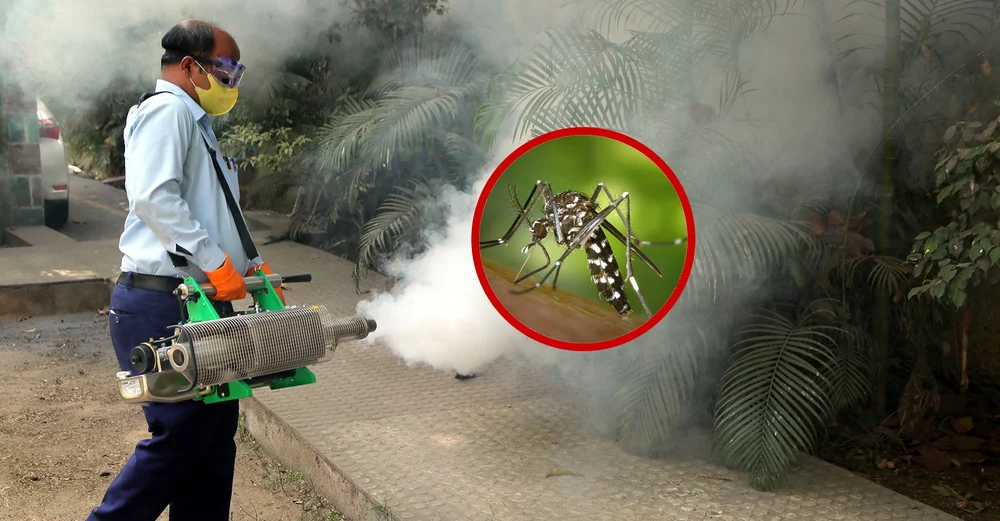 Mosquito Control Service