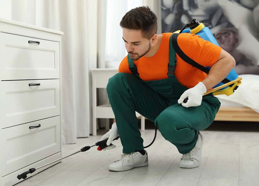 Pest Control Expert at Work
